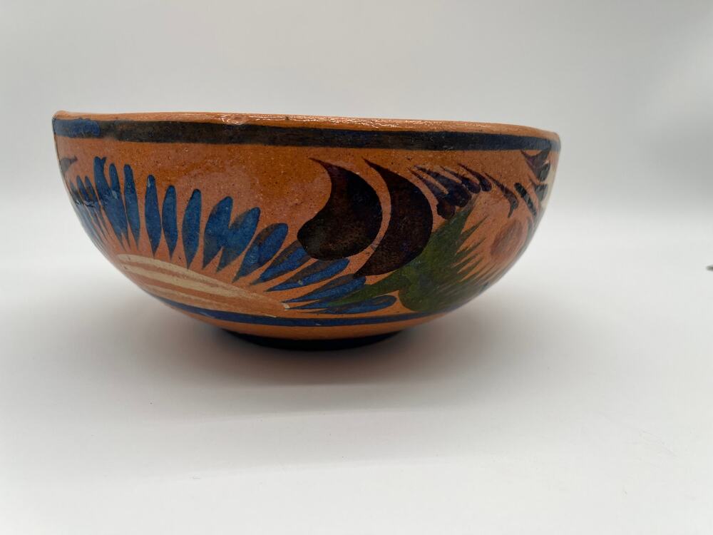 Vintage Mexican Folk Art Pottery Hand Painted Tonala Barro Vidriado Bowl - 9"